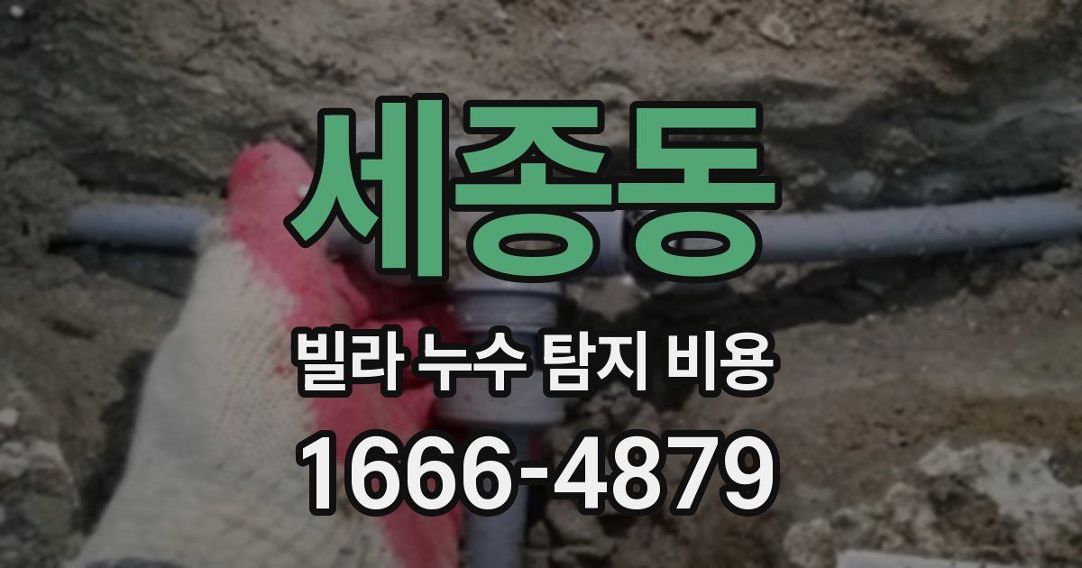 세종동 빌라 누수 탐지 비용