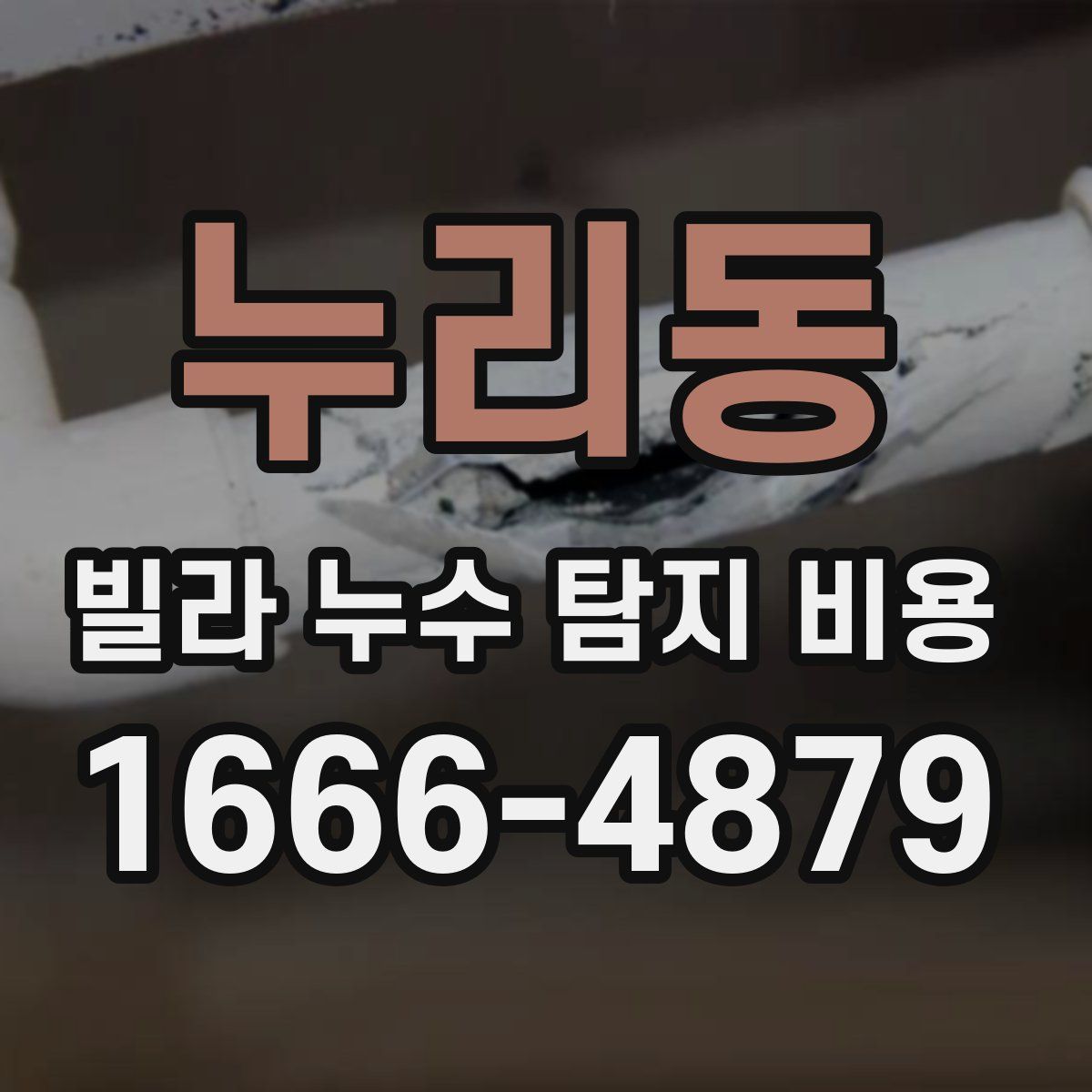 누리동 빌라 누수 탐지 비용