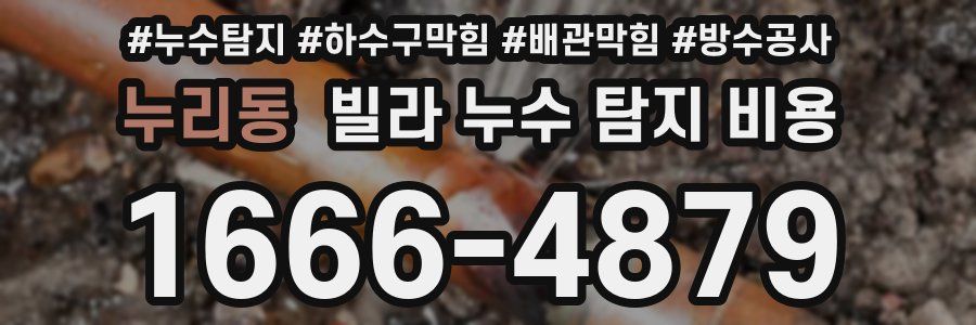 누리동 빌라 누수 탐지 비용