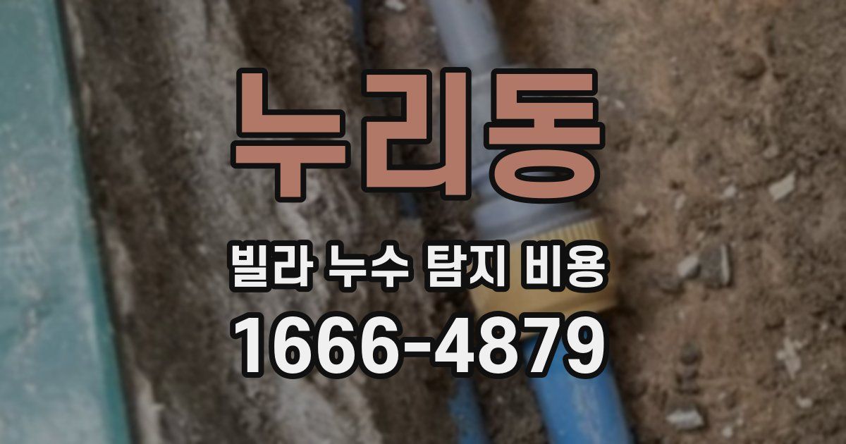 누리동 빌라 누수 탐지 비용