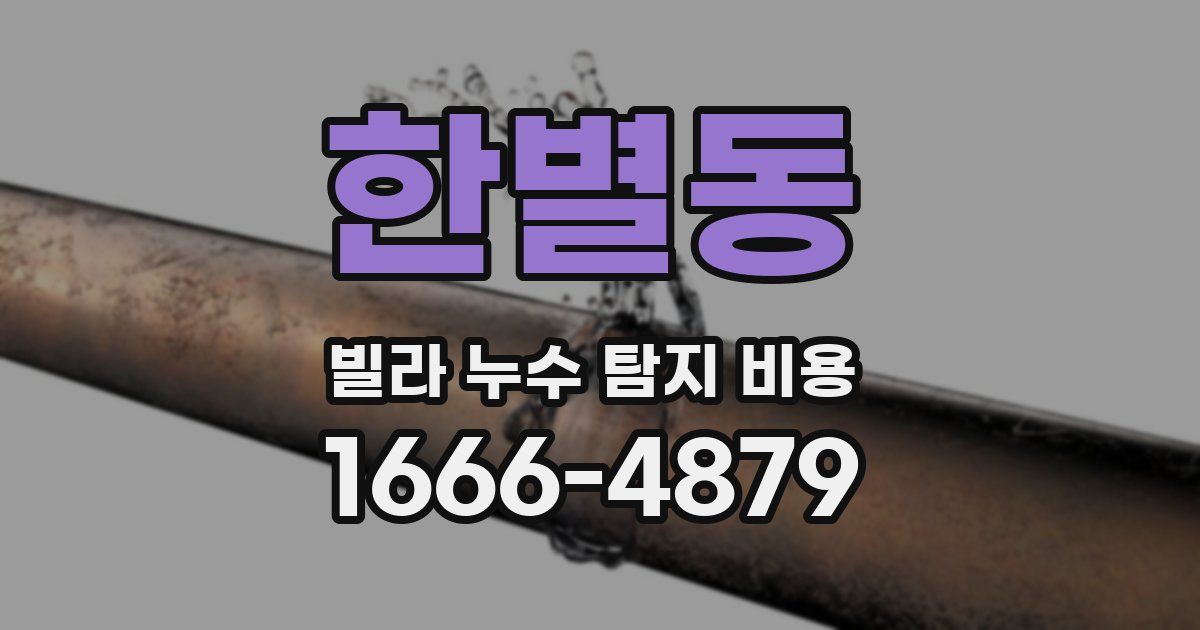 한별동 빌라 누수 탐지 비용