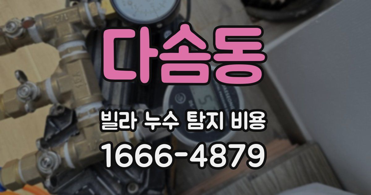 다솜동 빌라 누수 탐지 비용