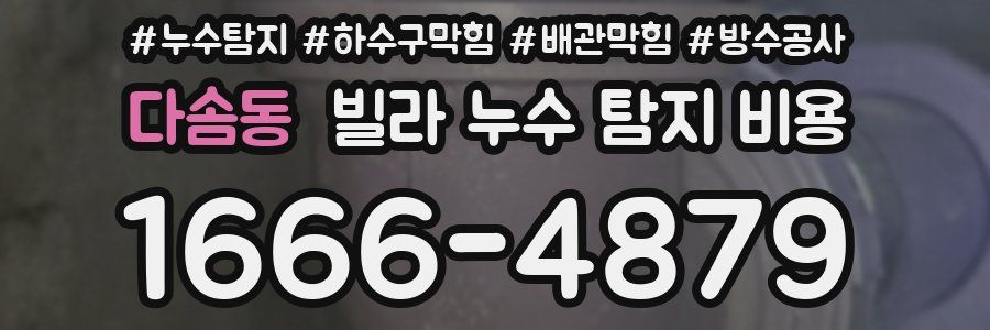 다솜동 빌라 누수 탐지 비용