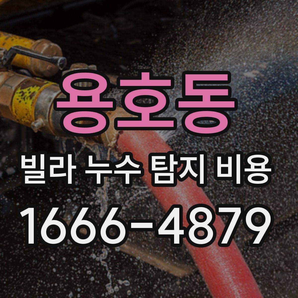 용호동 빌라 누수 탐지 비용
