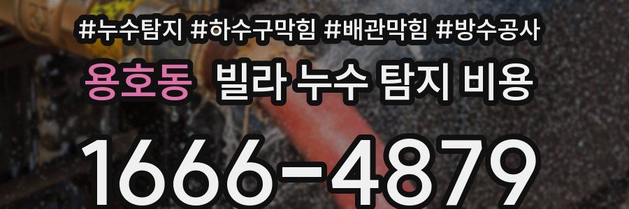 용호동 빌라 누수 탐지 비용