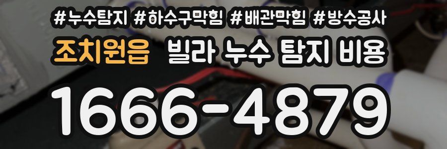 조치원읍 빌라 누수 탐지 비용