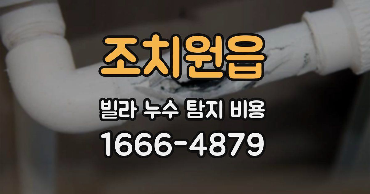 조치원읍 빌라 누수 탐지 비용