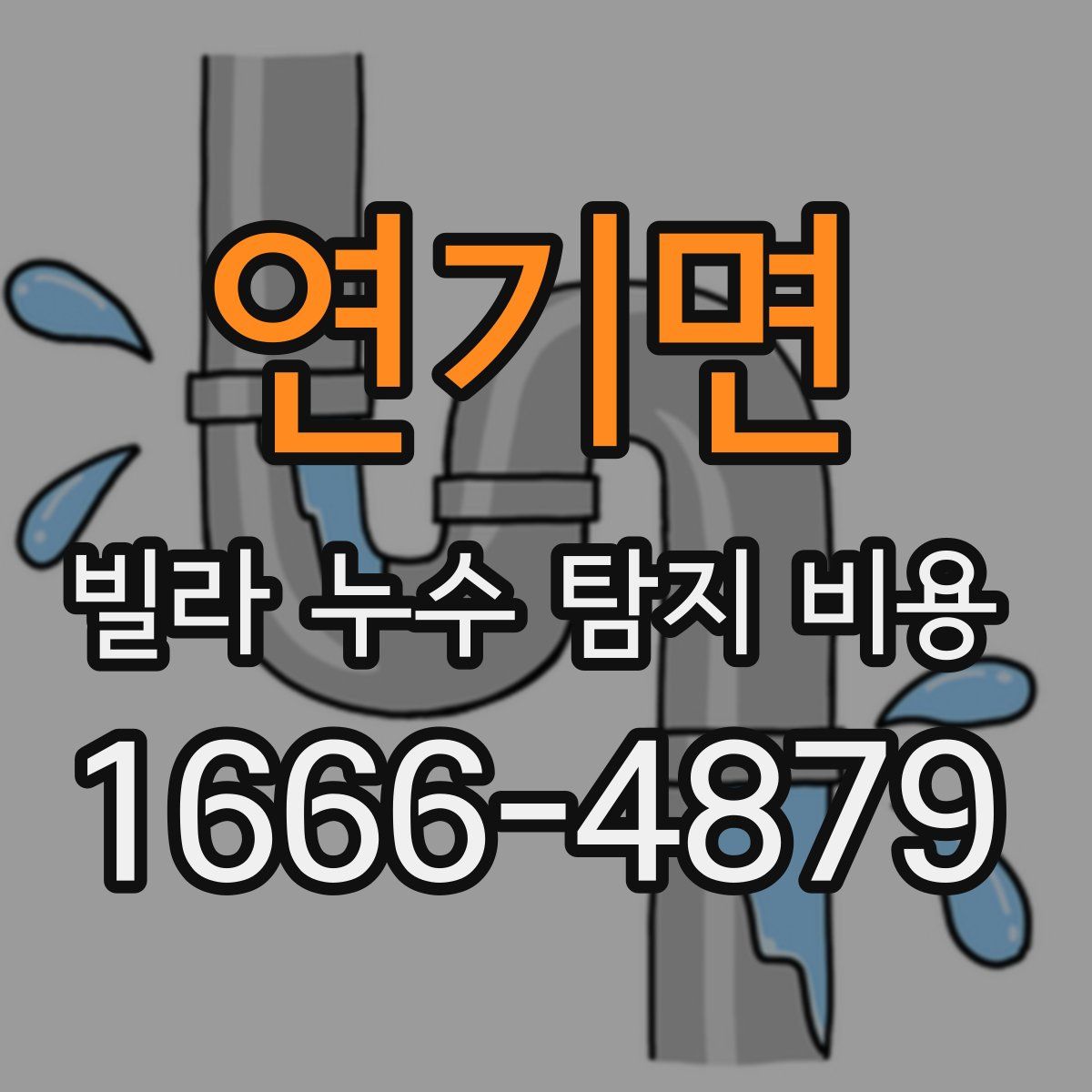 연기면 빌라 누수 탐지 비용