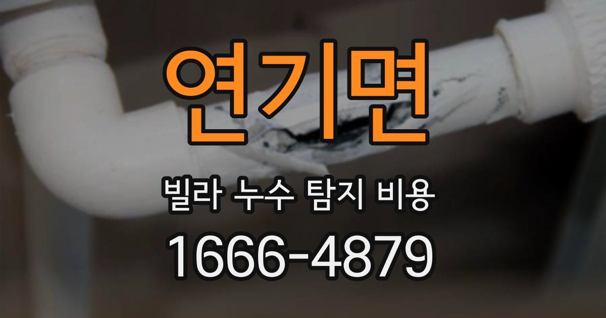 연기면 빌라 누수 탐지 비용
