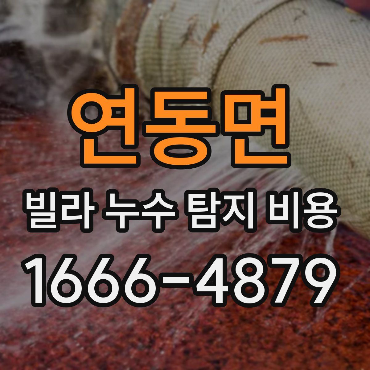 연동면 빌라 누수 탐지 비용