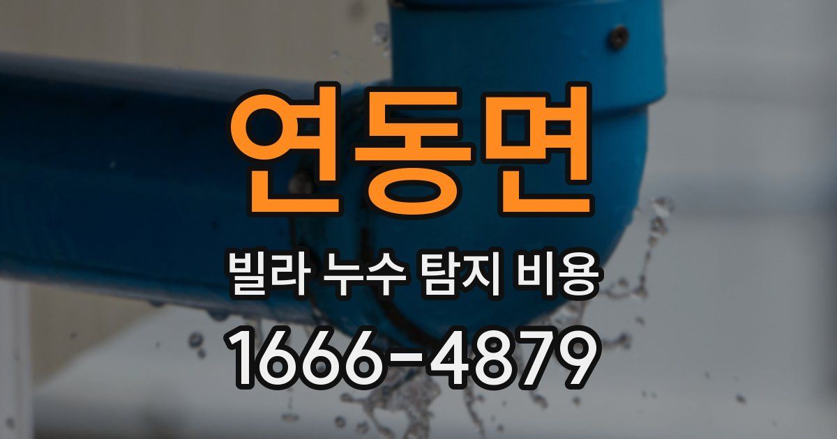 연동면 빌라 누수 탐지 비용