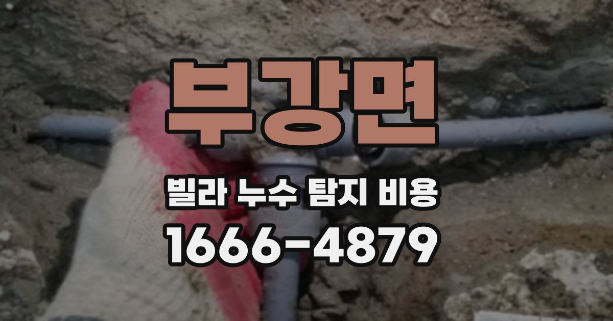 부강면 빌라 누수 탐지 비용