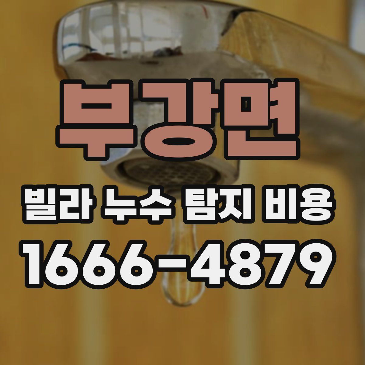 부강면 빌라 누수 탐지 비용
