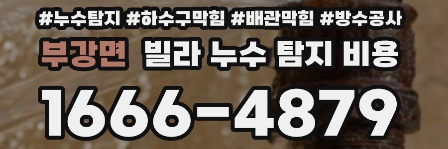 부강면 빌라 누수 탐지 비용