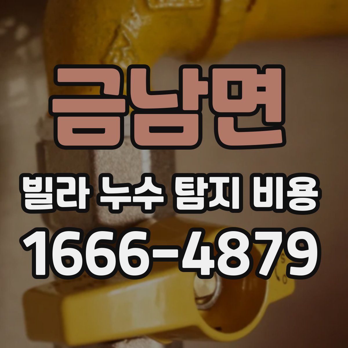 금남면 빌라 누수 탐지 비용