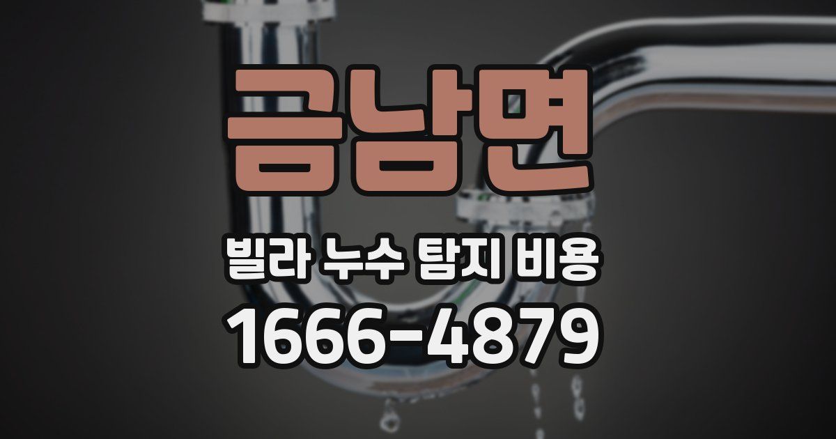 금남면 빌라 누수 탐지 비용