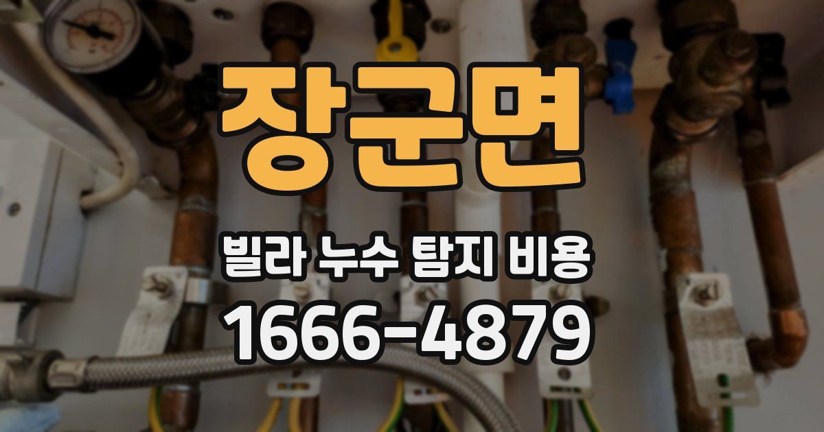 장군면 빌라 누수 탐지 비용