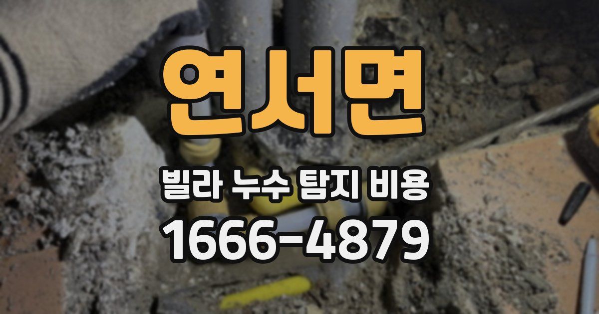 연서면 빌라 누수 탐지 비용