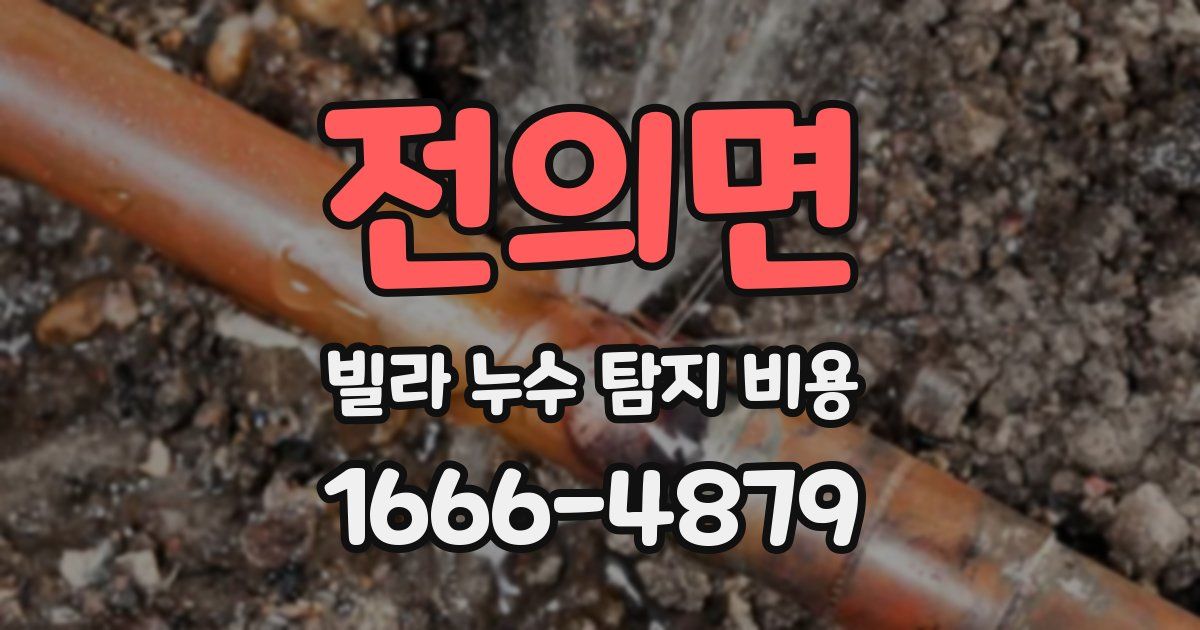 전의면 빌라 누수 탐지 비용