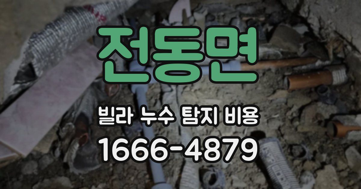전동면 빌라 누수 탐지 비용