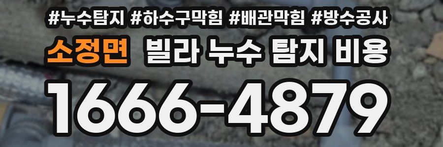 소정면 빌라 누수 탐지 비용