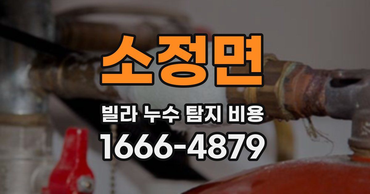 소정면 빌라 누수 탐지 비용