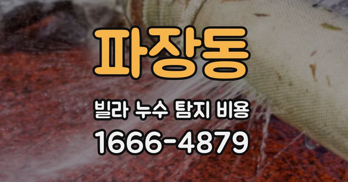 파장동 빌라 누수 탐지 비용