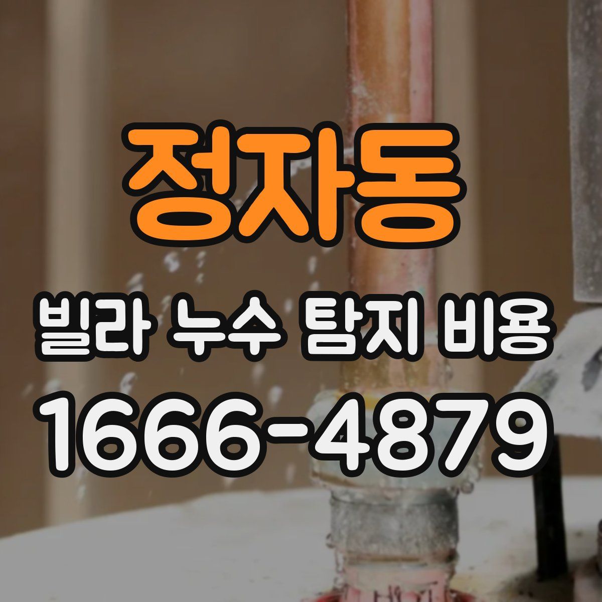 정자동 빌라 누수 탐지 비용