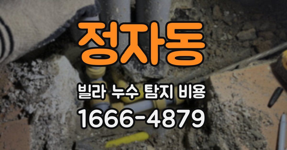정자동 빌라 누수 탐지 비용