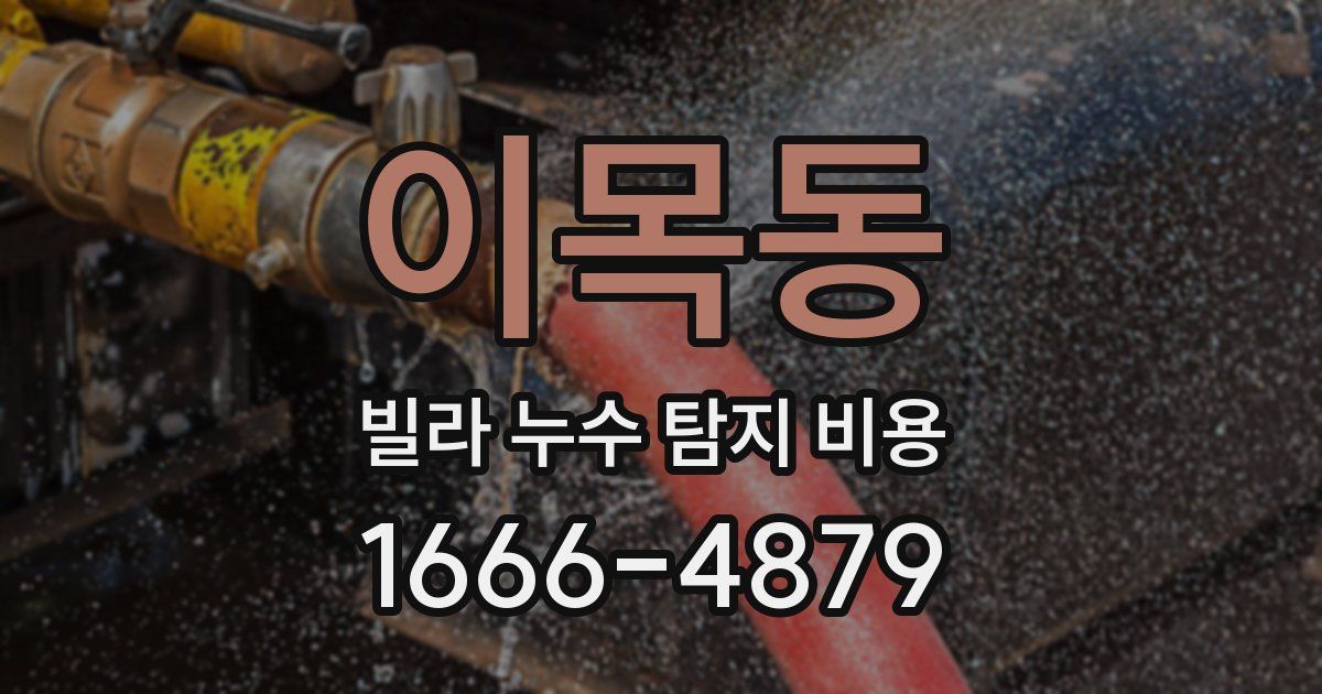 이목동 빌라 누수 탐지 비용