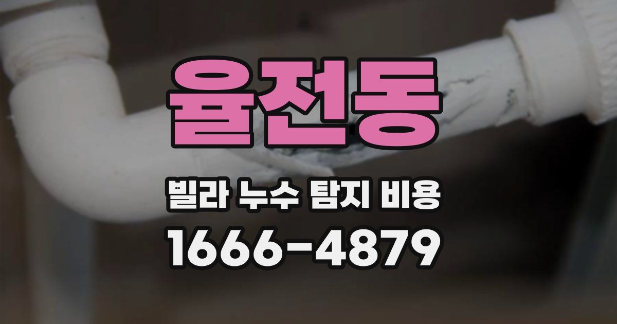 율전동 빌라 누수 탐지 비용