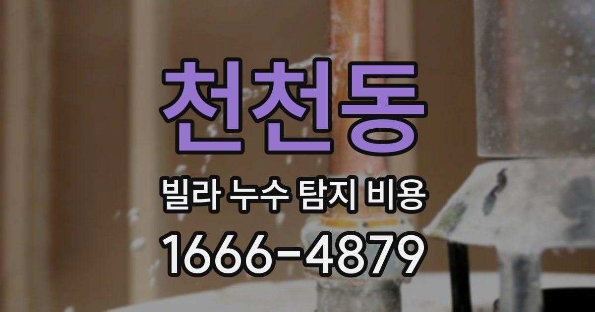천천동 빌라 누수 탐지 비용