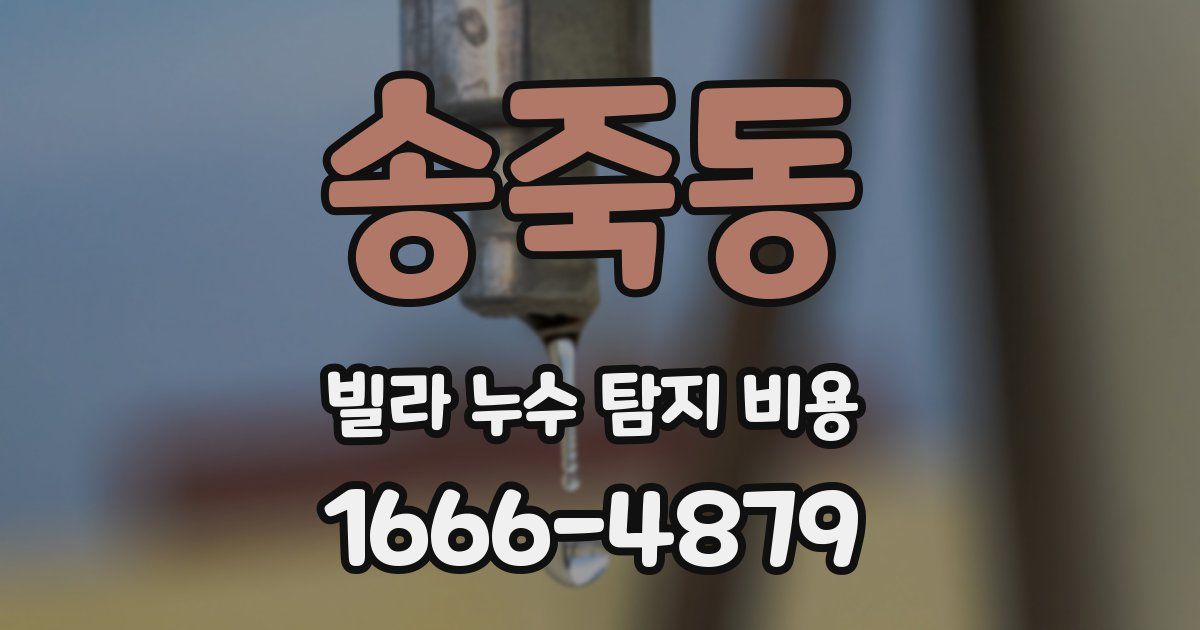 송죽동 빌라 누수 탐지 비용