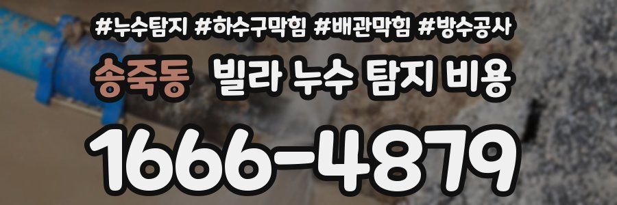 송죽동 빌라 누수 탐지 비용