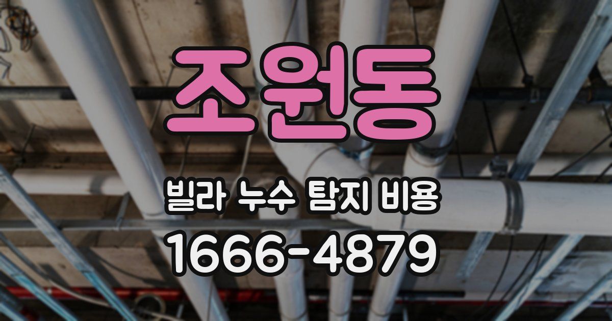 조원동 빌라 누수 탐지 비용
