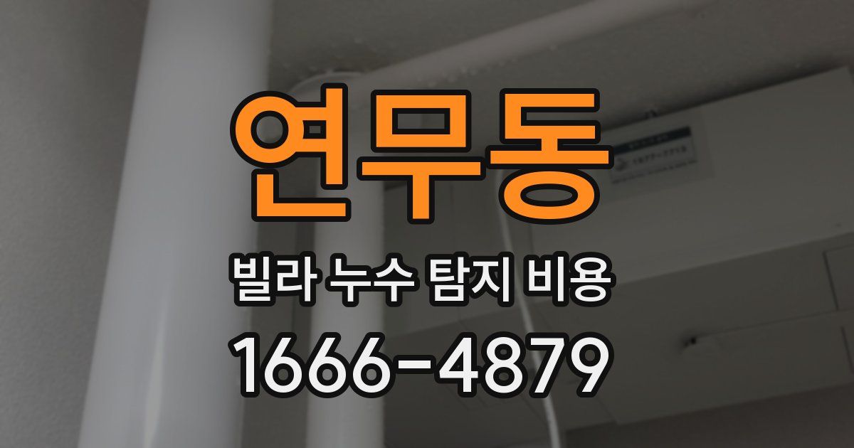 연무동 빌라 누수 탐지 비용