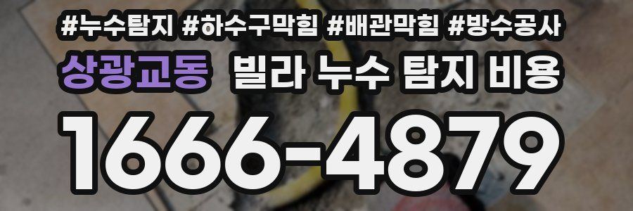 상광교동 빌라 누수 탐지 비용
