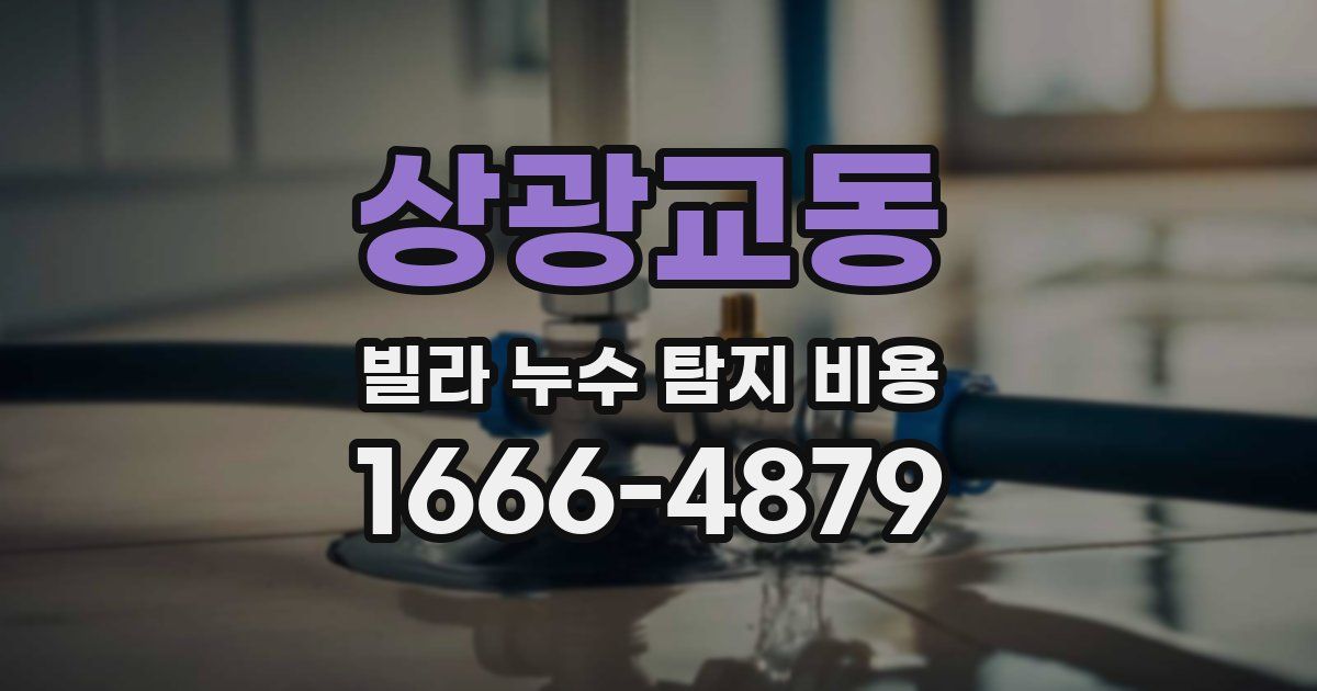 상광교동 빌라 누수 탐지 비용