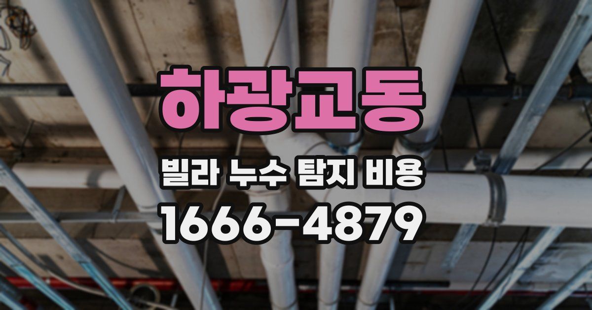 하광교동 빌라 누수 탐지 비용