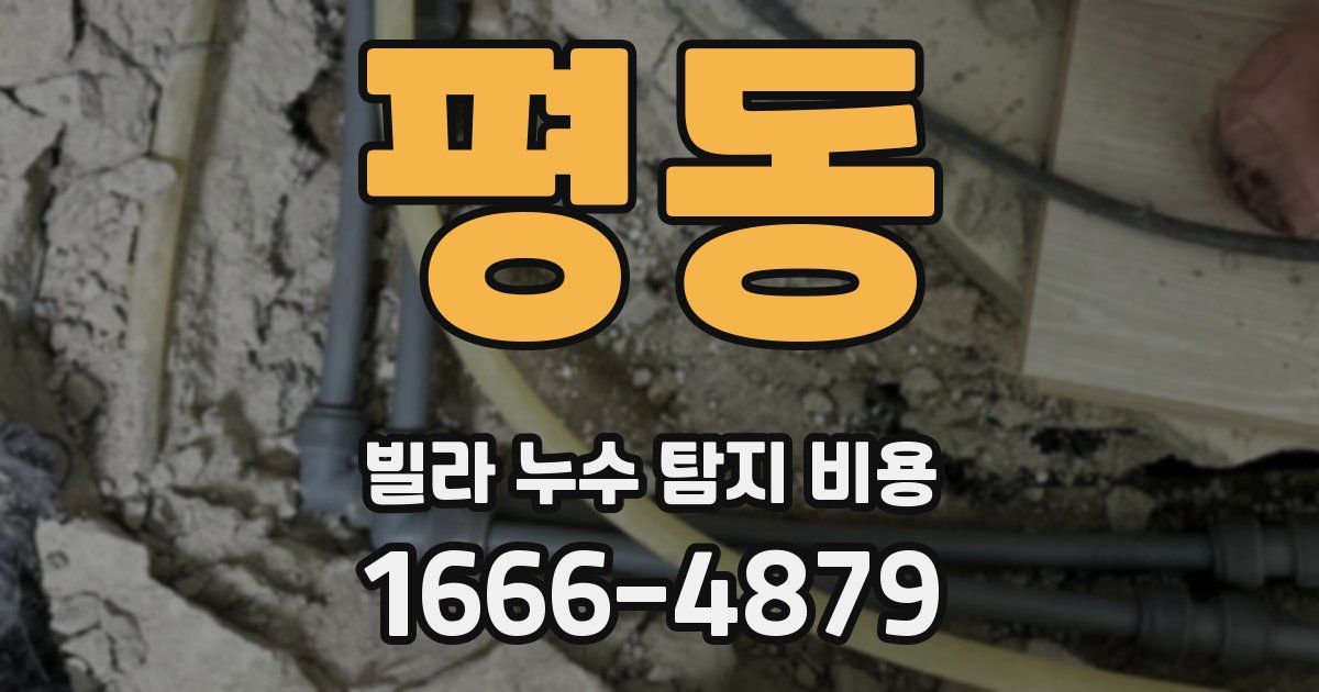 평동 빌라 누수 탐지 비용