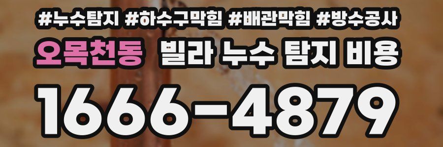 오목천동 빌라 누수 탐지 비용