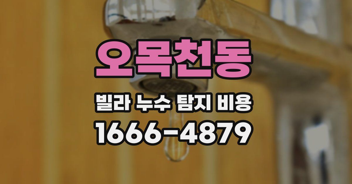 오목천동 빌라 누수 탐지 비용