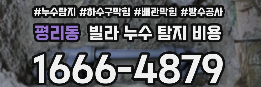 평리동 빌라 누수 탐지 비용