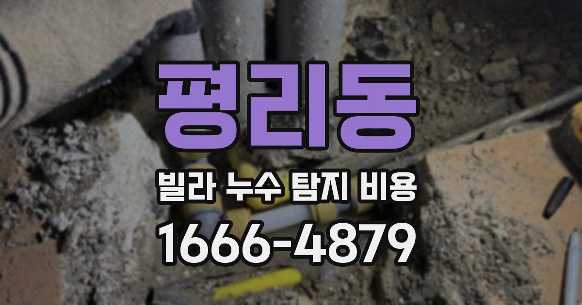 평리동 빌라 누수 탐지 비용