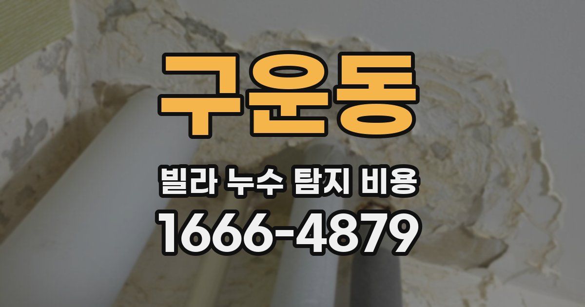 구운동 빌라 누수 탐지 비용