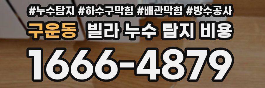 구운동 빌라 누수 탐지 비용