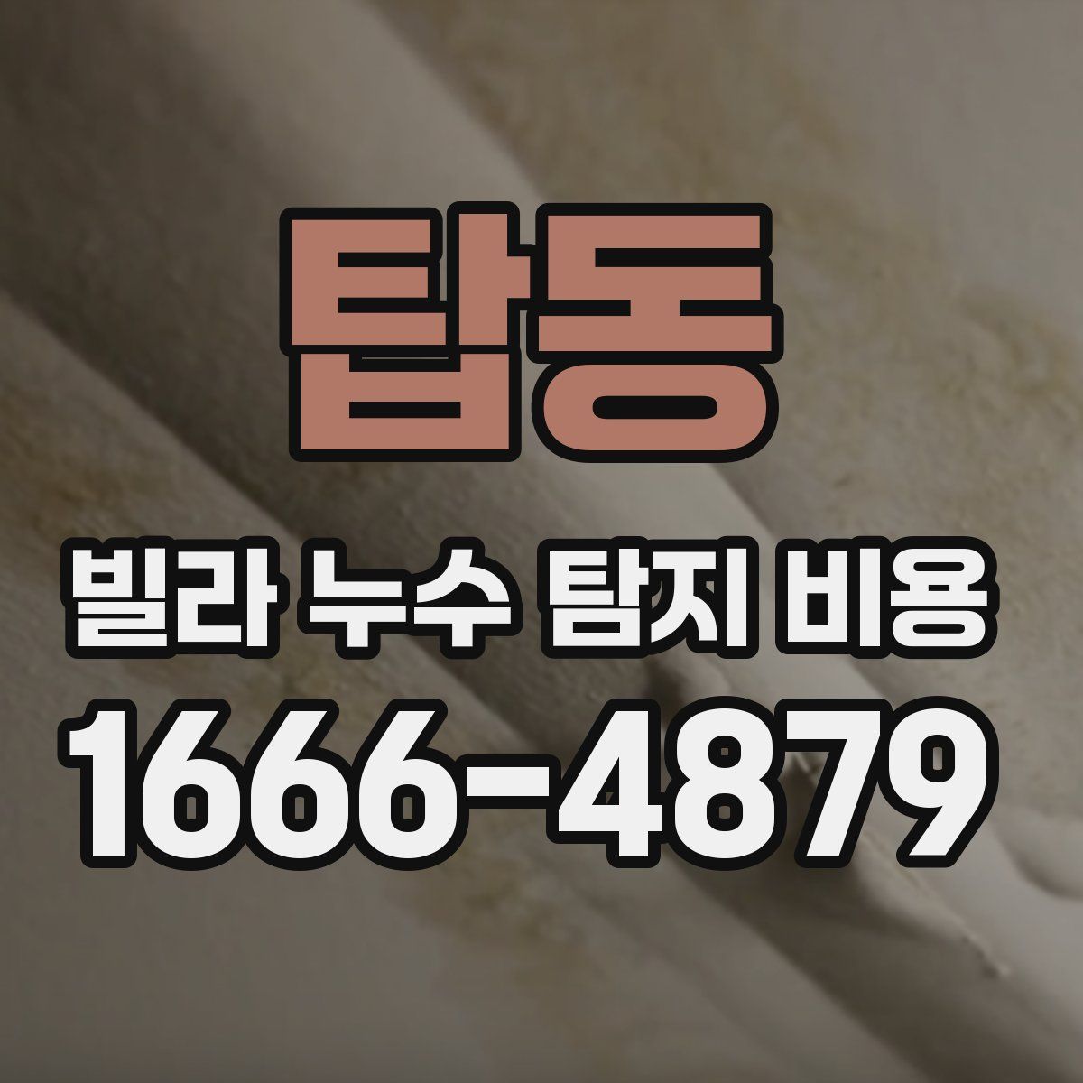 탑동 빌라 누수 탐지 비용