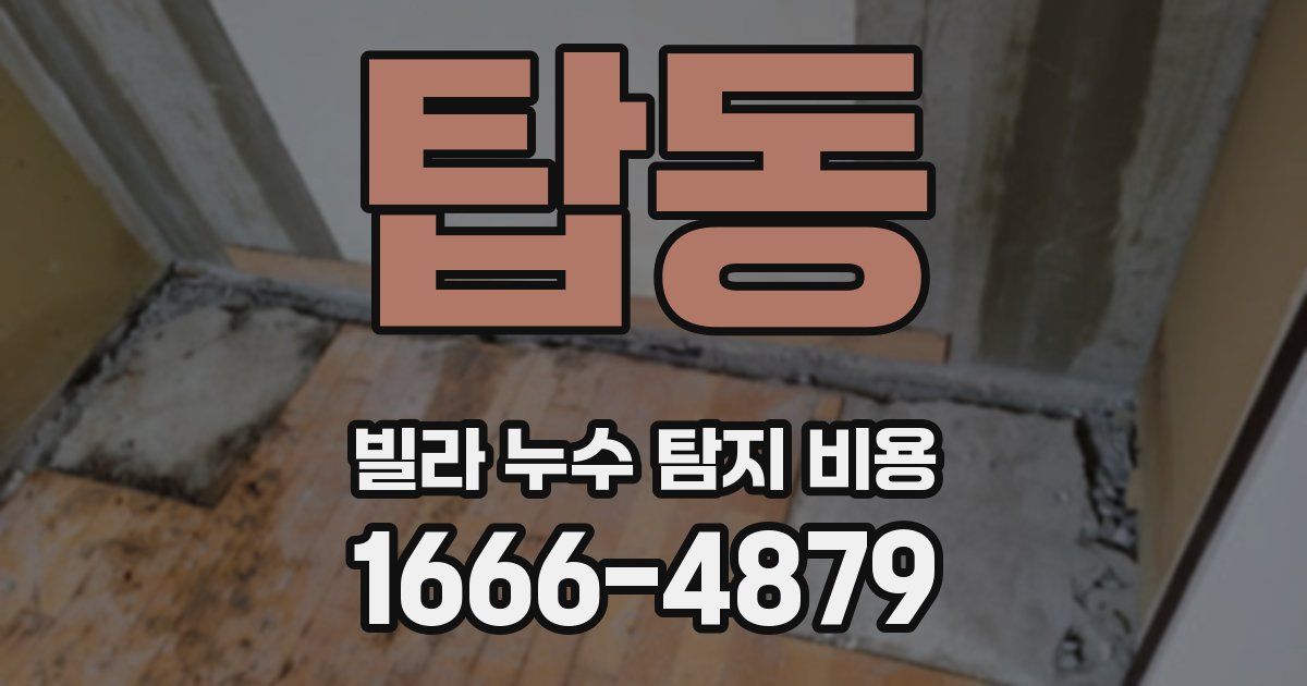 탑동 빌라 누수 탐지 비용