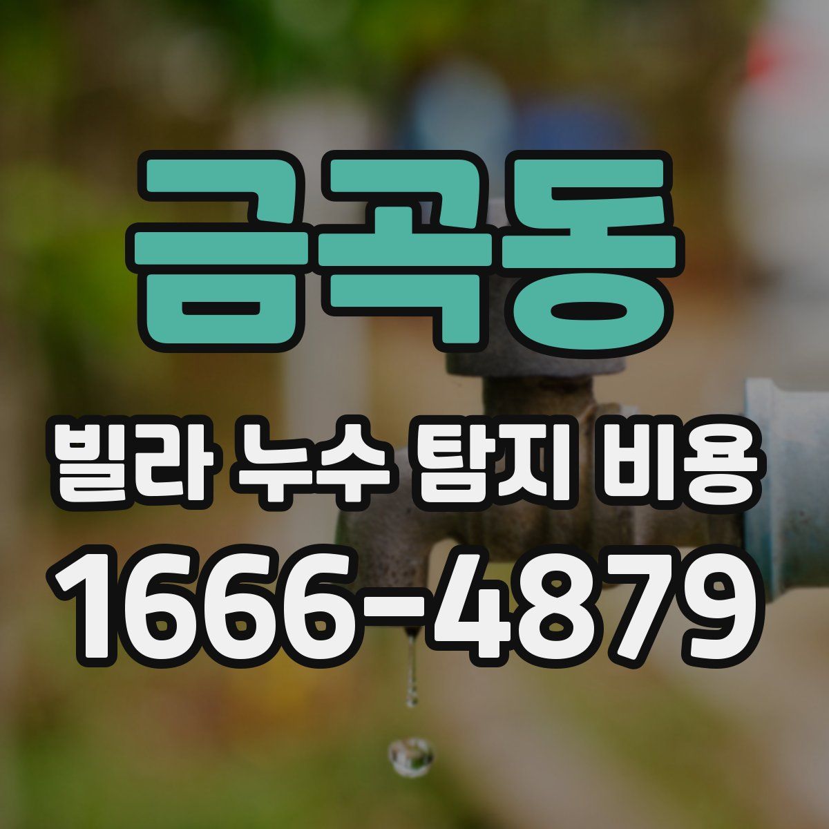 금곡동 빌라 누수 탐지 비용