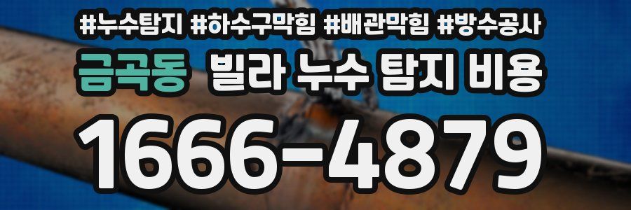 금곡동 빌라 누수 탐지 비용